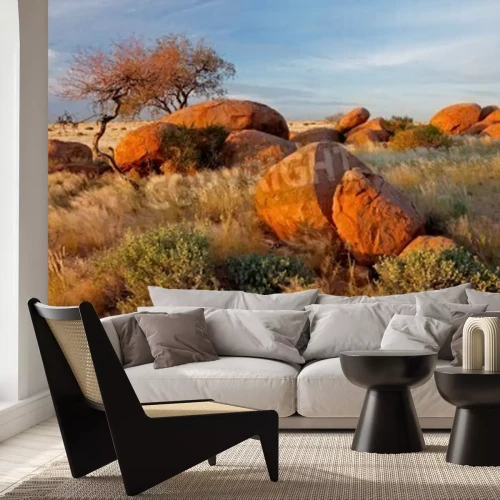 Papier peint  Pierres et plantes du désert