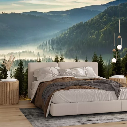 Papier peint  Forêt de conifères dans les montagnes enveloppée de brouillard