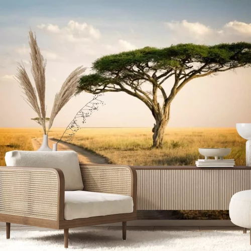 Papier peint  Paysage africain de la Tanzanie faune et savane
