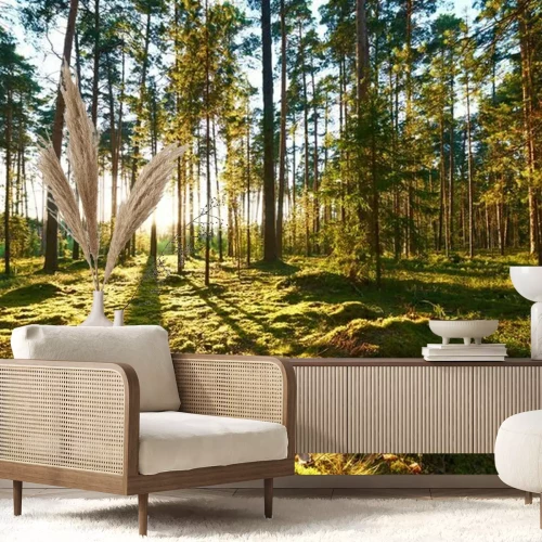 Papier peint  Une forêt du point de vue d'une grenouille