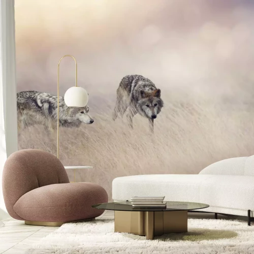 Papier peint  Deux, loups, élevé, herbe