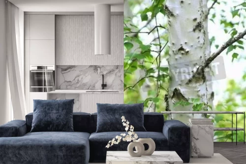 Visualisation du produit