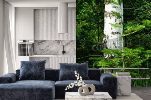 Visualisation du produit