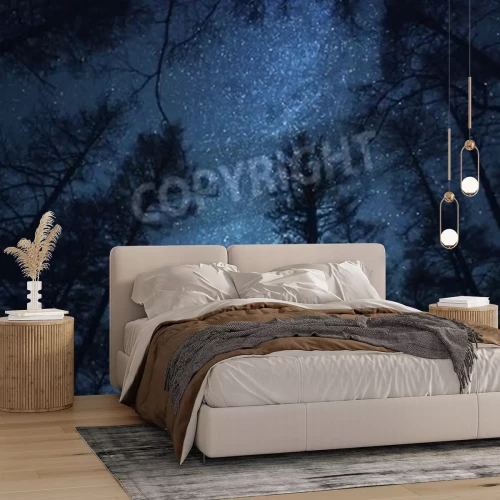 Papier peint  Beau ciel nocturne