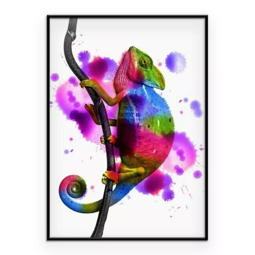 Poster  Graphismes caméléon et éclaboussures de peinture