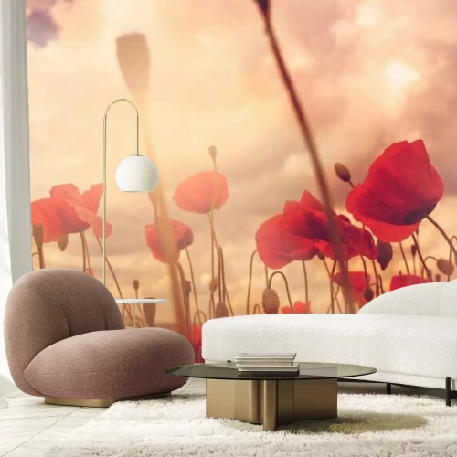 Papier peint  Champ de coquelicots sous un ciel nuageux