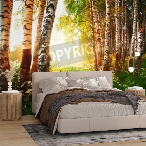 Papier peint  Bouleaux et fleurs