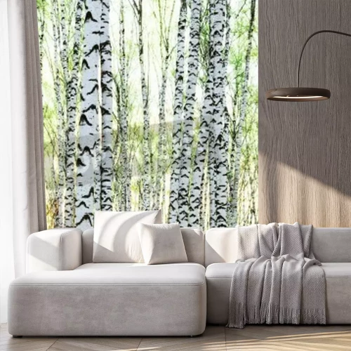 Papier peint  Bouleaux au lever du soleil