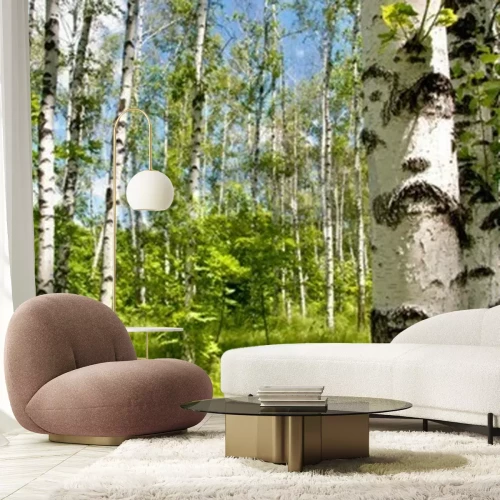 Papier peint  Bouleaux 3D et herbe verte