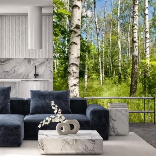 Papier peint  Les bouleaux et la vie sauvage