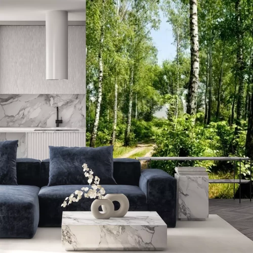 Papier peint  Le chemin à travers la forêt de bouleaux