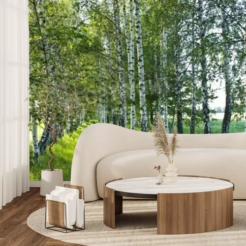 Papier peint  Bouleaux de printemps