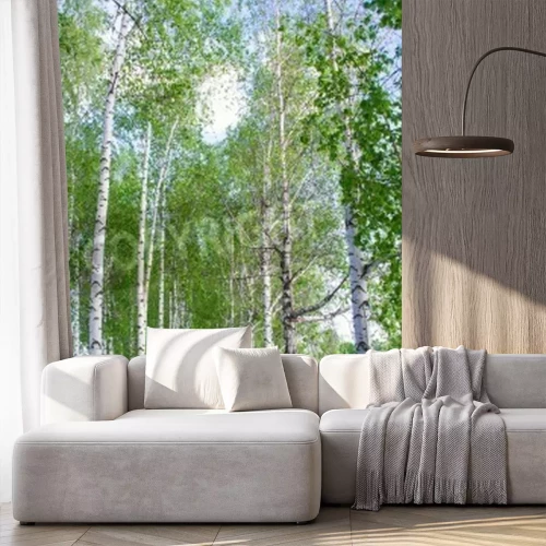 Papier peint  Des bouleaux dans une clairière