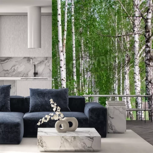 Papier peint  Chemin à travers les bouleaux