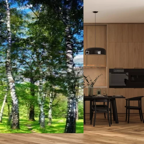 Papier peint  Grands bouleaux