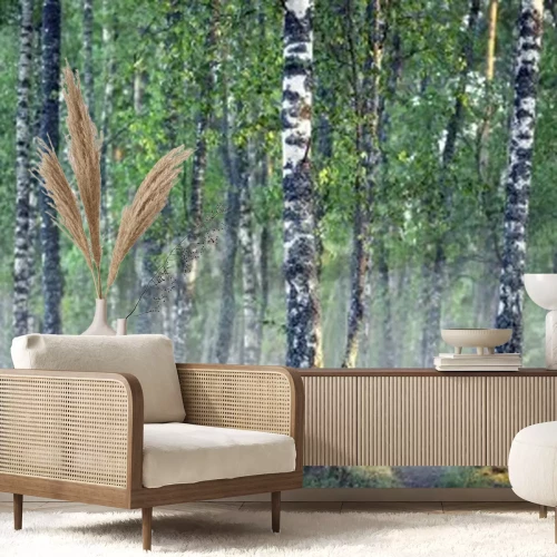 Papier peint  Bouleaux dans la brume