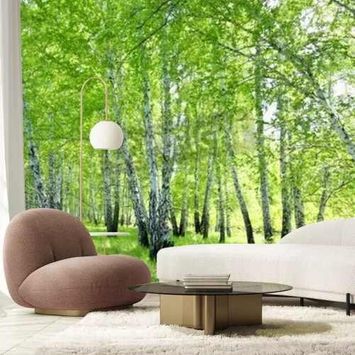 Papier peint  Bouleaux noirs et blancs avec des feuilles