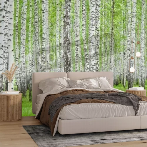 Papier peint  Bouleaux noirs et blancs en été