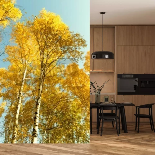 Papier peint  Bouleaux d'automne contre le ciel