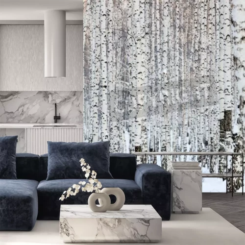 Papier peint  Bouleaux noirs et blancs dans les congères