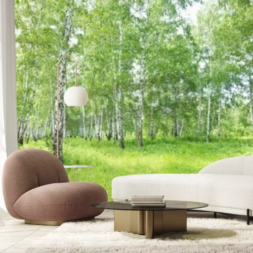 Papier peint  Bouleaux dans une clairière en été