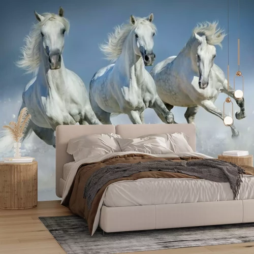 Papier peint  Chevaux blancs galopant dans la neige
