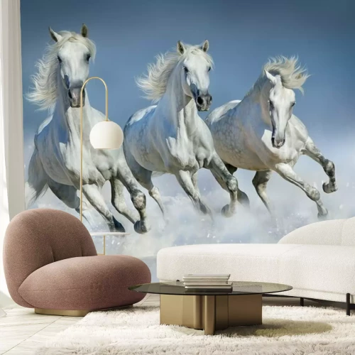 Sticker  Chevaux blancs galopant dans la neige