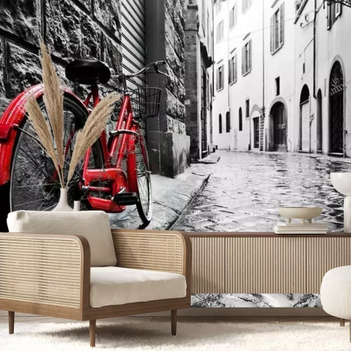 Papier peint  Vélo vintage rouge sur fond de ville noir et blanc