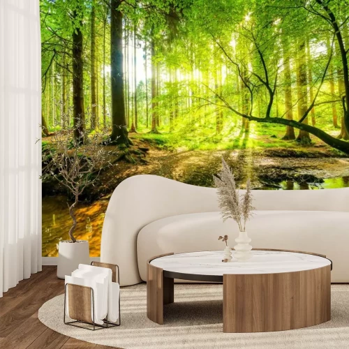 Papier peint  Wald Panorama avec Bach und Sonnenstrahlen