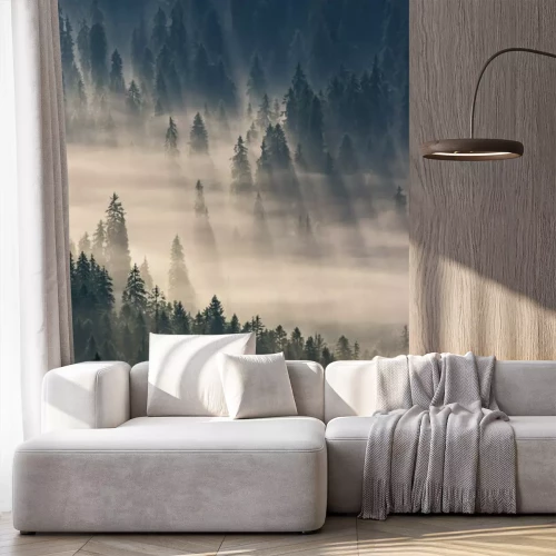 Papier peint  Conifères dans le brouillard