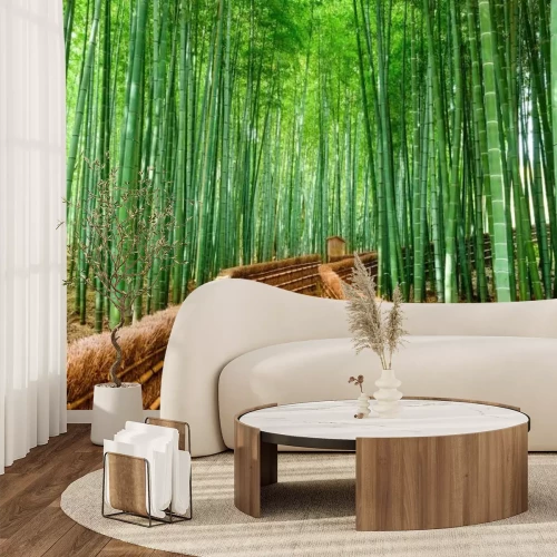 Papier peint  Japon Forêt de bambou