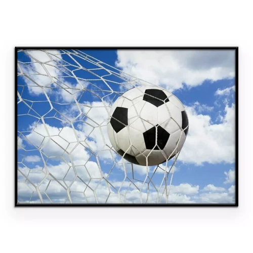 Poster  Le ballon entre dans le but