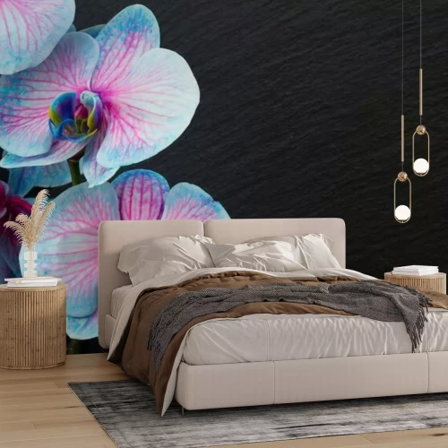 Papier peint  Bouquet, violet, orchidées