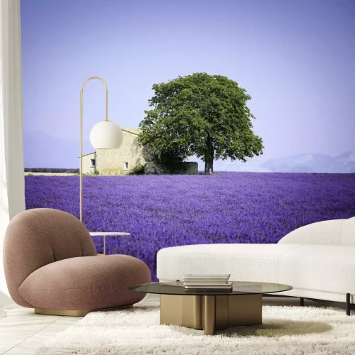 Papier peint  Maison en pierre au milieu de la lavande
