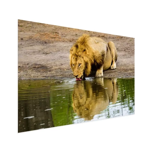 Visualisation du produit