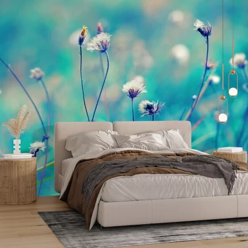 Papier peint  Fleurs des champs dans un pré