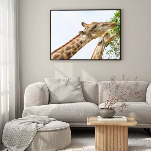 Visualisation du produit