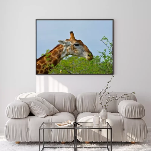 Visualisation du produit