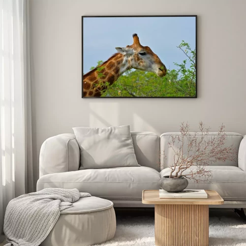 Visualisation du produit