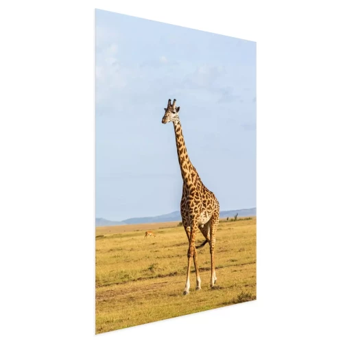 Visualisation du produit