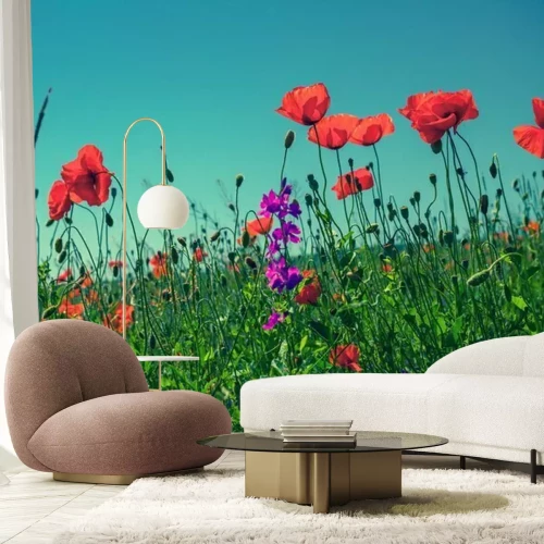 Papier peint  Fleurs de pavot contre le ciel