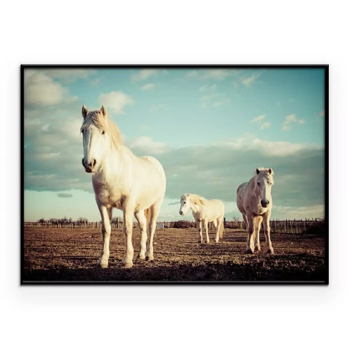Poster  Un troupeau de chevaux dans une prairie au coucher du soleil