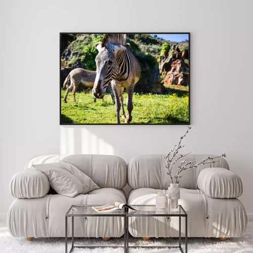 Visualisation du produit