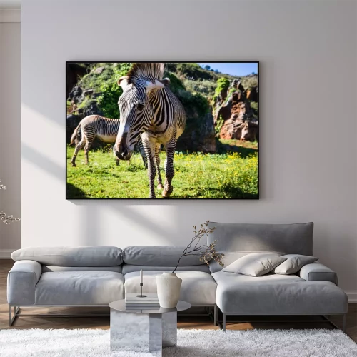 Visualisation du produit