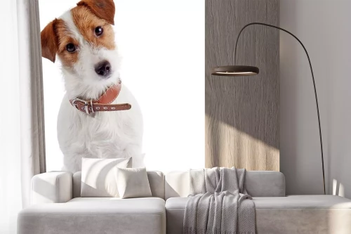 Visualisation du produit