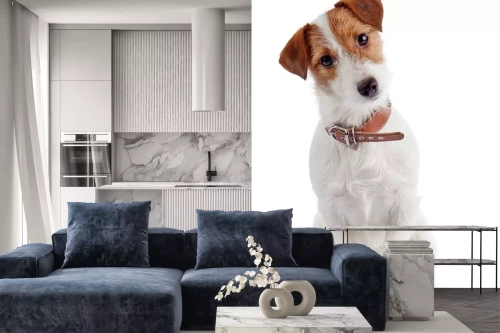 Visualisation du produit