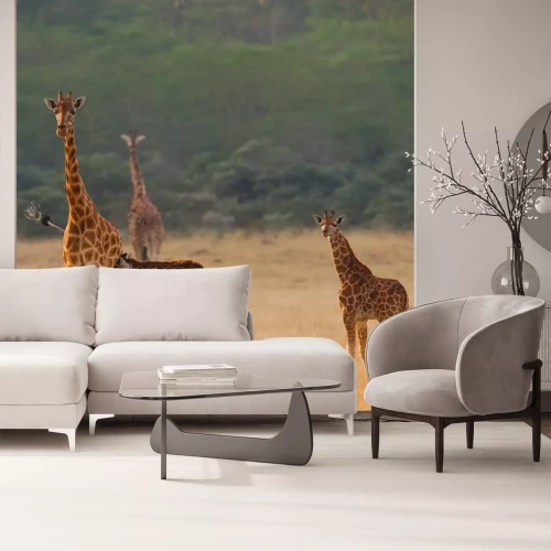 Sticker  Kenya. Tanzanie. Afrique de l'Est. Une excellente illustration.