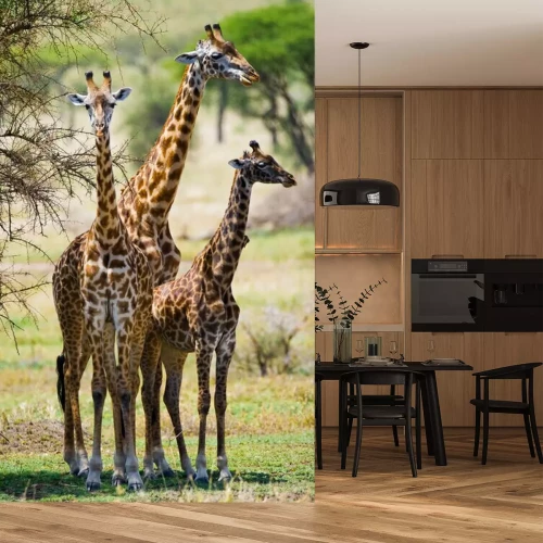 Sticker  Trois girafes dans la savane
