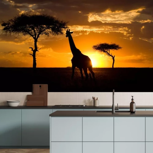 Sticker  Girafe au coucher du soleil dans la savane. Kenya. Tanzanie. Afrique de l'Est. Une excellente illustration.