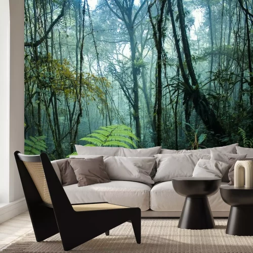 Papier peint  Forêt tropicale brumeuse